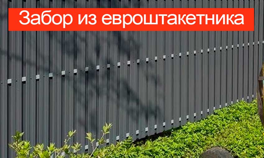 Забор из евроштакетника
